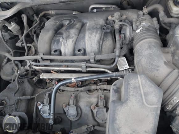 ✅ 2014 Ford Explorer XLT • VIN: 1FM5K8D8XEGC21422 • Lot: 42143320. Wystawiony na IAAI z przebiegiem 500 465 mil. Bezpłatny archiwum sprzedaży aukcyjnych z USA i szczegółowy raport historii pojazdu na DreamBid. Zdjęcie 6.