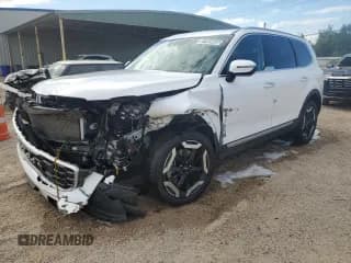 ✅ 2025 Kia Telluride S • VIN: 5XYP64GC3SG626661 • Lot: 87099665. Listed on Copart with 30,363 mi. Free auction sales archive from the USA and detailed vehicle history report at DreamBid. Image 1.