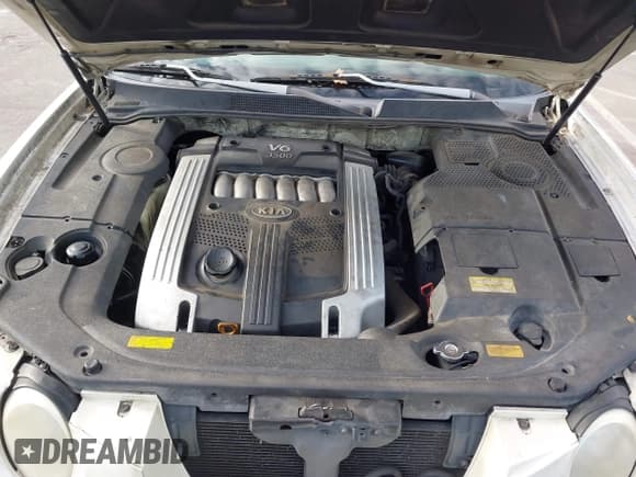 ✅ 2004 Kia Amanti • VIN: KNALD124745016497 • Lot: 43693468. Wystawiony na IAAI z przebiegiem 255 742 mil. Bezpłatny archiwum sprzedaży aukcyjnych z USA i szczegółowy raport historii pojazdu na DreamBid. Zdjęcie 10.