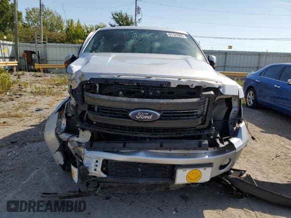 ✅ 2013 Ford F-150 FX4 • VIN: 1FTFX1ET6DKF58301 • Lot: 81127905. Wystawiony na Copart z przebiegiem Nie podano. Bezpłatny archiwum sprzedaży aukcyjnych z USA i szczegółowy raport historii pojazdu na DreamBid. Zdjęcie 5.