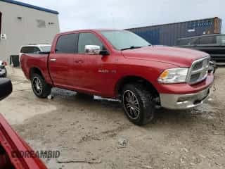 2009 Dodge 1500 SLT с VIN 1D3HV13T19S717418, выставлен на аукционе Copart как лот 81324694 с пробегом 185 935 миль миль и Чистый • Clean title. История ставок и продаж доступна на DreamBid. Изображение 4.