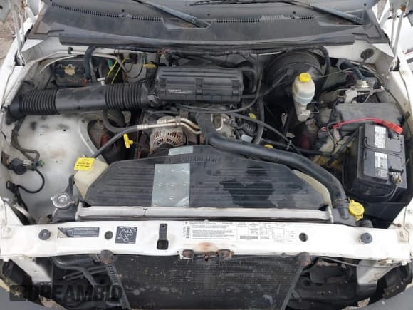 ✅ 1999 Dodge 1500 • VIN: 1B7HF13Z4XJ548587 • Lot: 43631365. Wystawiony na IAAI z przebiegiem 250 631 mil. Bezpłatny archiwum sprzedaży aukcyjnych z USA i szczegółowy raport historii pojazdu na DreamBid. Zdjęcie 10.