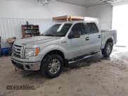✅ 2009 Ford F-150 XL • VIN: 1FTRW14869FA32733 • Lot: 42707066. Listed on IAAI with 177,248 mi. Free auction sales archive from the USA and detailed vehicle history report at DreamBid. Image 2.