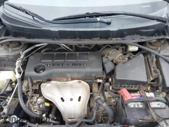 ✅ 2009 Toyota Matrix S • VIN: 2T1KE40E09C018305 • Лот: 43585175. Опубликован ранее на IAAI с пробегом 240 000 миль. Бесплатный доступ к архиву аукционных продаж из США и подробный отчёт об истории автомобиля на DreamBid. Изображение 10.