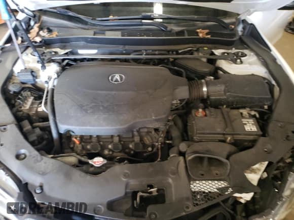 ✅ 2017 Acura TLX V6 w/Technology Pkg • VIN: 19UUB2F59HA003349 • Lot: 81318084. Listed on Copart with 104,300 mi. Free auction sales archive from the USA and detailed vehicle history report at DreamBid. Image 11.