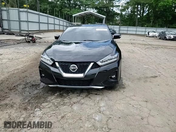 ✅ 2019 Nissan Maxima Platinum • VIN: 1N4AA6AV7KC382825 • Lot: 59570035. Wystawiony na Copart z przebiegiem 59 549 mil. Bezpłatny archiwum sprzedaży aukcyjnych z USA i szczegółowy raport historii pojazdu na DreamBid. Zdjęcie 13.
