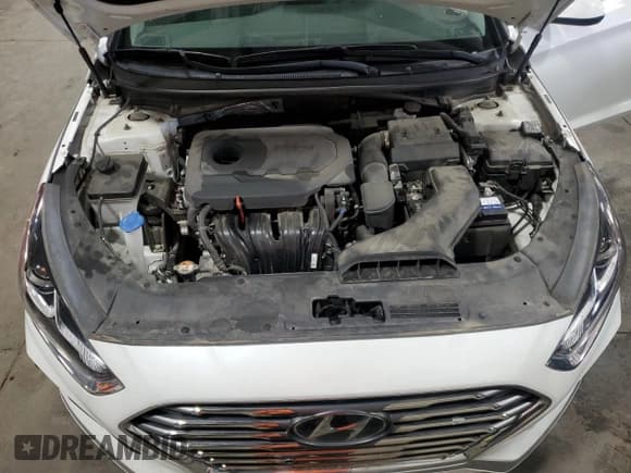 ✅ 2019 Hyundai Sonata SE • VIN: 5NPE24AF6KH744234 • Лот: 70548275. Опубликован ранее на Copart с пробегом 48 108 миль. Бесплатный доступ к архиву аукционных продаж из США и подробный отчёт об истории автомобиля на DreamBid. Изображение 11.