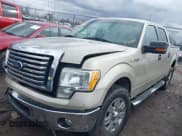 ✅ 2010 Ford F-150 XL • VIN: 1FTFW1CV4AFD75538 • Lot: 41704712. Listed on IAAI with 184,022 mi. Free auction sales archive from the USA and detailed vehicle history report at DreamBid. Image 17.