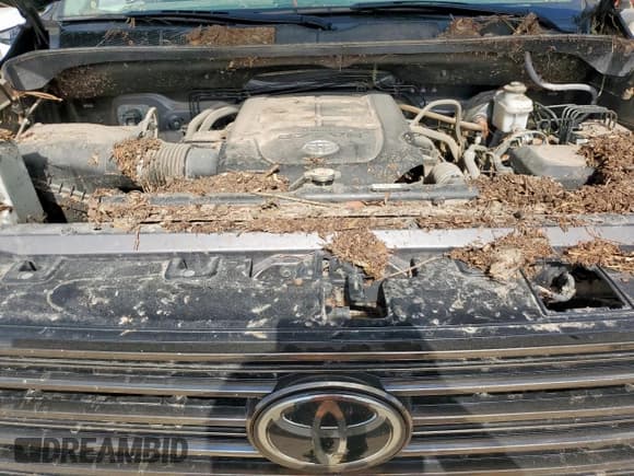 ✅ 2021 Toyota Tundra Limited • VIN: 5TFHY5F14MX040801 • Lot: 65092715. Wystawiony na Copart z przebiegiem Nie podano. Bezpłatny archiwum sprzedaży aukcyjnych z USA i szczegółowy raport historii pojazdu na DreamBid. Zdjęcie 11.