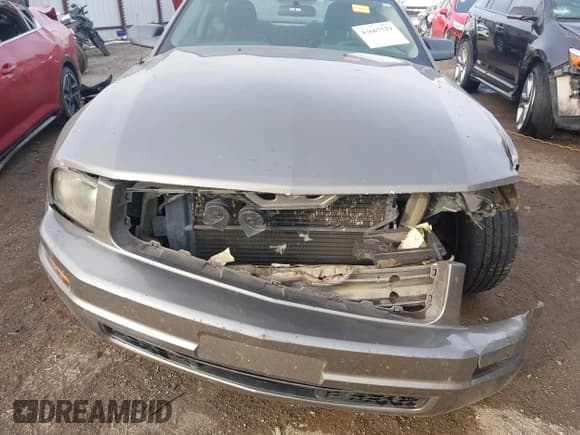 ✅ 2005 Ford Mustang Deluxe • VIN: 1ZVHT80N755107848 • Lot: 43667529. Listed on IAAI with 189,380 mi. Free auction sales archive from the USA and detailed vehicle history report at DreamBid. Image 12.