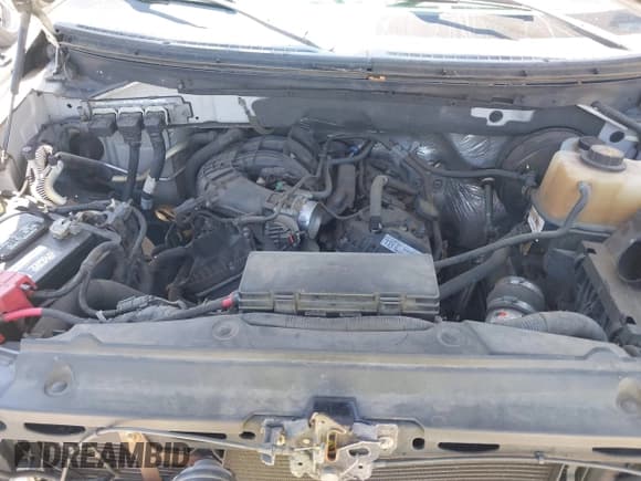 ✅ 2012 Ford F-150 XL • VIN: 1FTEW1CM7CFC36137 • Лот: 42632250. Опубликован ранее на IAAI с пробегом 130 408 миль. Бесплатный доступ к архиву аукционных продаж из США и подробный отчёт об истории автомобиля на DreamBid. Изображение 10.