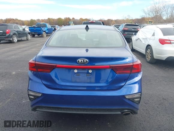 ✅ 2020 Kia Forte LXS • VIN: 3KPF24AD3LE248381 • Лот: 43618970. Опубликован ранее на IAAI с пробегом 129 659 миль. Бесплатный доступ к архиву аукционных продаж из США и подробный отчёт об истории автомобиля на DreamBid. Изображение 16.