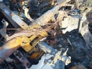 ✅ 2017 Nissan Altima S • VIN: 1N4AL3AP9HN361207 • Lot: 43855252. Listed on IAAI with 39,580 mi. Free auction sales archive from the USA and detailed vehicle history report at DreamBid. Image 7.