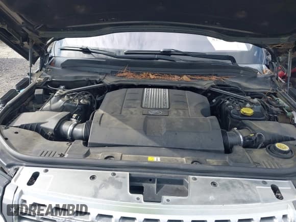 ✅ 2015 Land Rover Range Rover Supercharged • VIN: SALGS2TF4FA233198 • Lot: 42240733. Listed on IAAI with 116,009 mi. Free auction sales archive from the USA and detailed vehicle history report at DreamBid. Image 10.