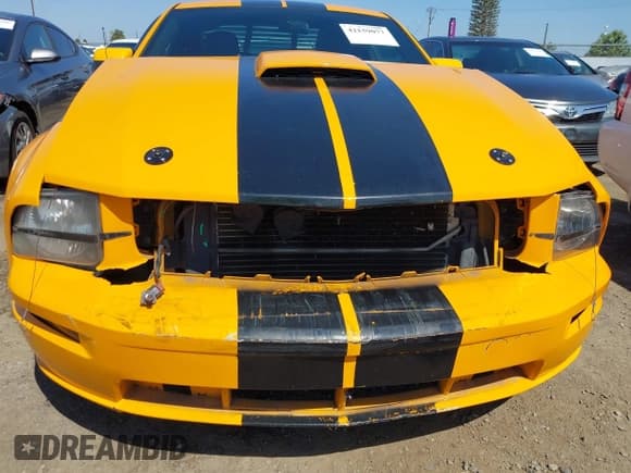 ✅ 2007 Ford Mustang GT Deluxe • VIN: 1ZVFT82H375255531 • Lot: 42159077. Listed on IAAI with 158,223 mi. Free auction sales archive from the USA and detailed vehicle history report at DreamBid. Image 6.