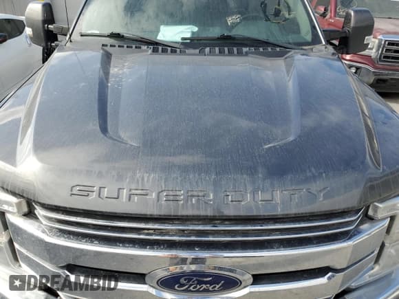 ✅ 2017 Ford F-350 Platinum • VIN: 1FT8W3BT0HED37504 • Lot: 87694025. Listed on Copart with 168,453 mi. Free auction sales archive from the USA and detailed vehicle history report at DreamBid. Image 13.