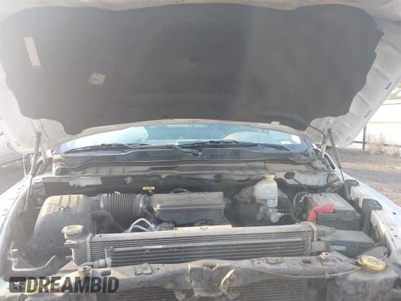 ✅ 2010 Dodge 1500 SLT • VIN: 1D7RV1GP1AS173748 • Lot: 43566678. Listed on IAAI with 169,034 mi. Free auction sales archive from the USA and detailed vehicle history report at DreamBid. Image 10.