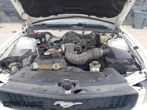 ✅ 2007 Ford Mustang Deluxe • VIN: 1ZVFT80N675258268 • Lot: 42351532. Listed on IAAI with 164,868 mi. Free auction sales archive from the USA and detailed vehicle history report at DreamBid. Image 10.