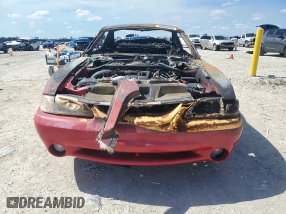 ✅ 1997 Ford Mustang Cobra • VIN: 1FALP47V8VF187337 • Lot: 46804405. Listed on Copart with Not provided. Free auction sales archive from the USA and detailed vehicle history report at DreamBid. Image 5.