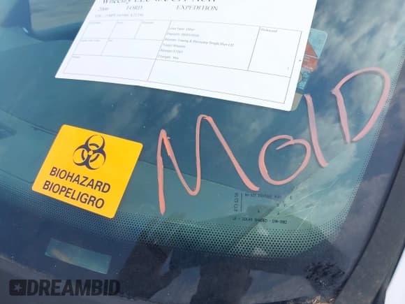 ✅ 2006 Ford Expedition Special Service • VIN: 1FMPU16596LA71356 • Лот: 42874906. Опубликован ранее на IAAI с пробегом 212 616 миль. Бесплатный доступ к архиву аукционных продаж из США и подробный отчёт об истории автомобиля на DreamBid. Изображение 12.