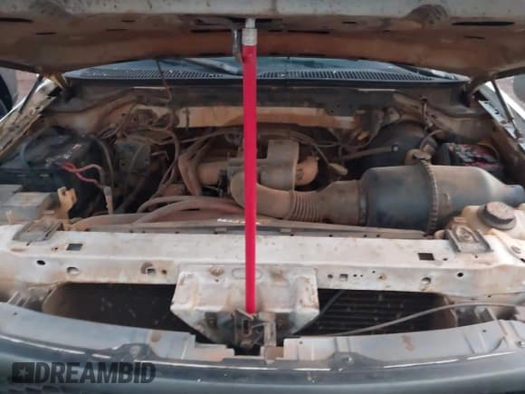 ✅ 2000 Ford F-150 XL • VIN: 1FTZF1720YNA88971 • Lot: 43840288. Wystawiony na IAAI z przebiegiem 249 903 mil. Bezpłatny archiwum sprzedaży aukcyjnych z USA i szczegółowy raport historii pojazdu na DreamBid. Zdjęcie 10.