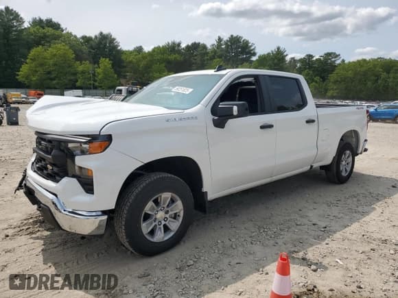✅ 2025 Chevrolet Silverado 1500 • VIN: 1GCUKAED1SZ217603 • Лот: 59251825. Опубликован ранее на Copart с пробегом 994 миль. Бесплатный доступ к архиву аукционных продаж из США и подробный отчёт об истории автомобиля на DreamBid. Изображение 1.