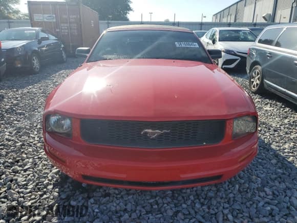 ✅ 2007 Ford Mustang Deluxe • VIN: 1ZVFT84N975296099 • Lot: 58169845. Listed on Copart with 108,251 mi. Free auction sales archive from the USA and detailed vehicle history report at DreamBid. Image 5.