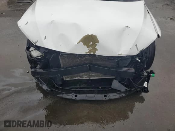 ✅ 2017 Hyundai Elantra Value Edition • VIN: 5NPD84LF7HH157203 • Lot: 82110975. Listed on Copart with 78,601 mi. Free auction sales archive from the USA and detailed vehicle history report at DreamBid. Image 11.