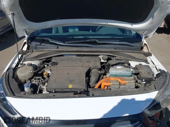 ✅ 2019 Hyundai Ioniq Limited • VIN: KMHC05LC4KU159630 • Lot: 43588042. Listed on IAAI with 52,185 mi. Free auction sales archive from the USA and detailed vehicle history report at DreamBid. Image 10.