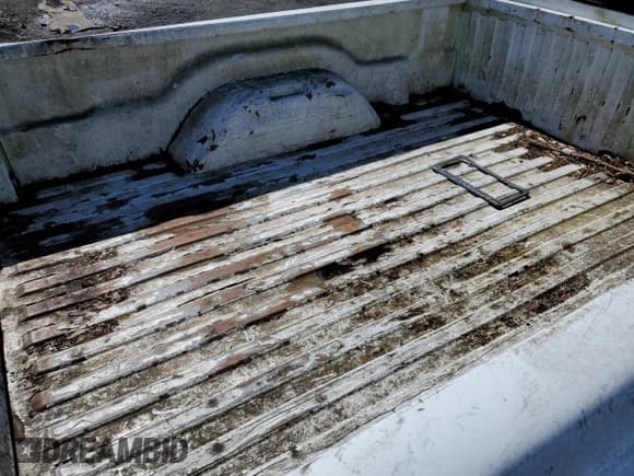 ✅ 1999 Dodge Dakota SLT • VIN: 1B7GL22X0XS174449 • Lot: 49894855. Wystawiony na Copart z przebiegiem 74 729 mil. Bezpłatny archiwum sprzedaży aukcyjnych z USA i szczegółowy raport historii pojazdu na DreamBid. Zdjęcie 10.