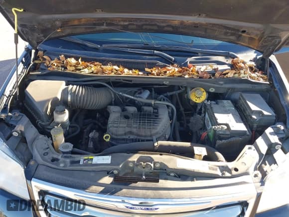 ✅ 2014 Chrysler Town & Country Touring • VIN: 2C4RC1BG8ER382418 • Lot: 43786883. Wystawiony na IAAI z przebiegiem 170 189 mil. Bezpłatny archiwum sprzedaży aukcyjnych z USA i szczegółowy raport historii pojazdu na DreamBid. Zdjęcie 10.