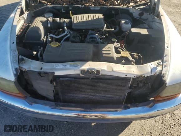 ✅ 2004 Dodge Dakota SLT • VIN: 1D7GL42K64S720401 • Lot: 81740774. Wystawiony na Copart z przebiegiem 221 876 mil. Bezpłatny archiwum sprzedaży aukcyjnych z USA i szczegółowy raport historii pojazdu na DreamBid. Zdjęcie 11.