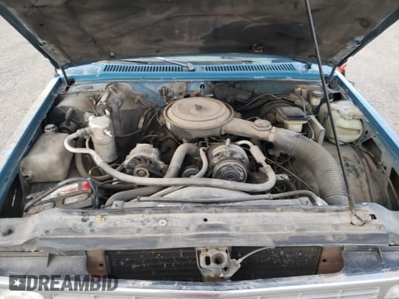 ✅ 1992 Chevrolet S-10 • VIN: 1GCCS14R6N8218748 • Lot: 92470245. Wystawiony na Copart z przebiegiem 237 123 mil. Bezpłatny archiwum sprzedaży aukcyjnych z USA i szczegółowy raport historii pojazdu na DreamBid. Zdjęcie 11.