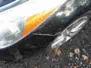 2013 Hyundai Azera с VIN KMHFH4JG4DA329141, выставлен на аукционе IAAI как лот 43618268 с пробегом 118 083 миль миль и . История ставок и продаж доступна на DreamBid. Изображение 12.