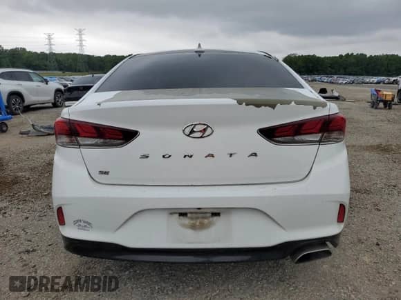 2018 Hyundai Sonata SE с VIN 5NPE24AF3JH646597, выставлен на аукционе Copart как лот 55990555 с пробегом 173 419 миль миль и Списание • Salvage title. История ставок и продаж доступна на DreamBid. Изображение 6.