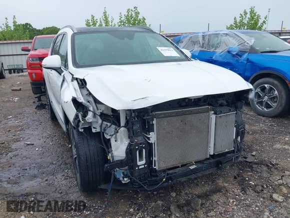 2019 Hyundai Santa Fe Limited с VIN 5NMS5CAA4KH040376, выставлен на аукционе IAAI как лот 42192813 с пробегом 33 464 миль миль и . История ставок и продаж доступна на DreamBid. Изображение 6.