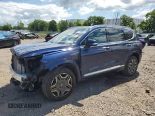 2021 Hyundai Santa Fe Calligraphy with VIN 5NMS5DAL3MH316301, listed as a Copart auction lot 67298525 with 21,885 mi miles and Salvage title. Bid and sale history available at DreamBid. Image 1.
