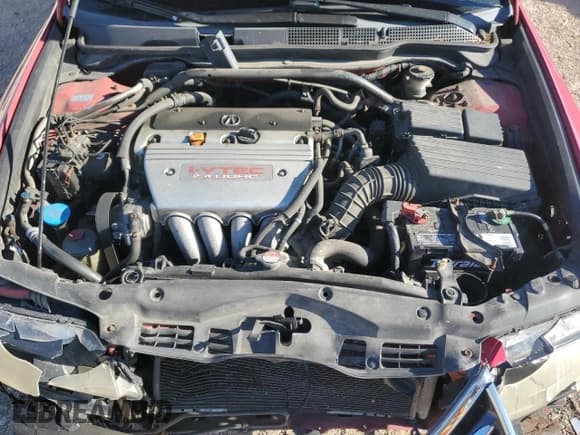 ✅ 2008 Acura TSX • VIN: JH4CL96818C002838 • Lot: 91656875. Wystawiony na Copart z przebiegiem 207 676 mil. Bezpłatny archiwum sprzedaży aukcyjnych z USA i szczegółowy raport historii pojazdu na DreamBid. Zdjęcie 11.