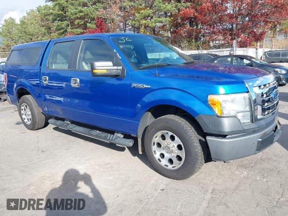✅ 2010 Ford F-150 XL • VIN: 1FTEW1C84AFD53299 • Lot: 43663240. Listed on IAAI with 165,395 mi. Free auction sales archive from the USA and detailed vehicle history report at DreamBid. Image 1.