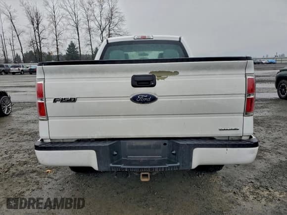 ✅ 2013 Ford F-150 XL • VIN: 1FTEX1EM0DKE12383 • Lot: 95267645. Wystawiony na Copart z przebiegiem 212 171 mil. Bezpłatny archiwum sprzedaży aukcyjnych z USA i szczegółowy raport historii pojazdu na DreamBid. Zdjęcie 6.