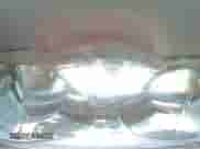 2025 Dodge Durango R/T Plus with VIN 1C4SDJCT4SC523225, listed as a Copart auction lot 80354635 with 215 mi miles and Salvage title. Bid and sale history available at DreamBid. Image 15.