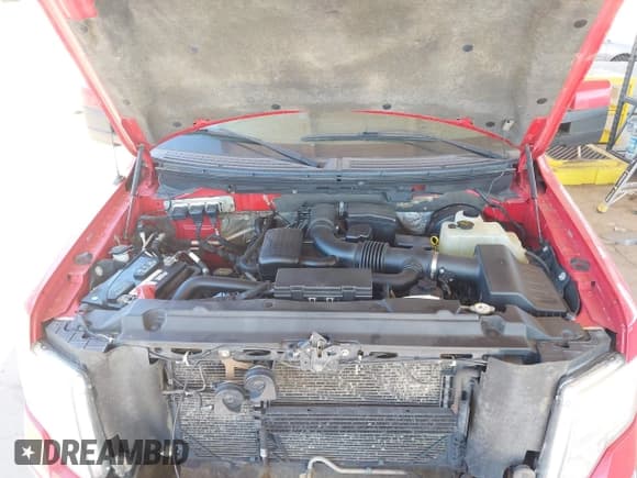 ✅ 2009 Ford F-150 XL • VIN: 1FTPW14V69FA16559 • Lot: 42831038. Listed on IAAI with 137,976 mi. Free auction sales archive from the USA and detailed vehicle history report at DreamBid. Image 10.