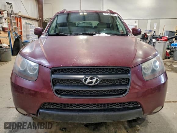 ✅ 2007 Hyundai Santa Fe GL 5Pass • VIN: 5NMSG13E07H102135 • Lot: 95942925. Listed on Copart with 258,683 mi. Free auction sales archive from the USA and detailed vehicle history report at DreamBid. Image 5.