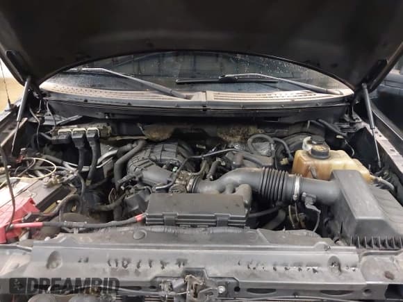 ✅ 2013 Ford F-150 XL • VIN: 1FTEX1CM7DFC23693 • Lot: 42330457. Listed on IAAI with 254,383 mi. Free auction sales archive from the USA and detailed vehicle history report at DreamBid. Image 10.