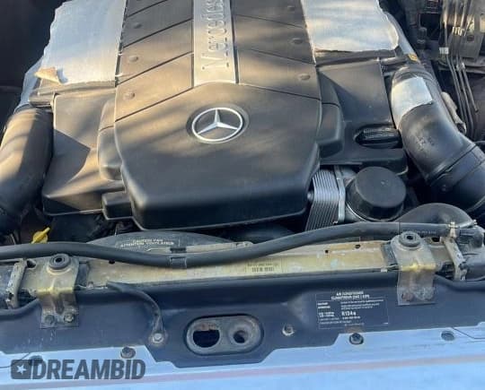 ✅ 2002 Mercedes-Benz G 500 • VIN: WDCYR49EX2X128555 • Lot: 55605995. Wystawiony na Copart z przebiegiem 225 042 mil. Bezpłatny archiwum sprzedaży aukcyjnych z USA i szczegółowy raport historii pojazdu na DreamBid. Zdjęcie 7.