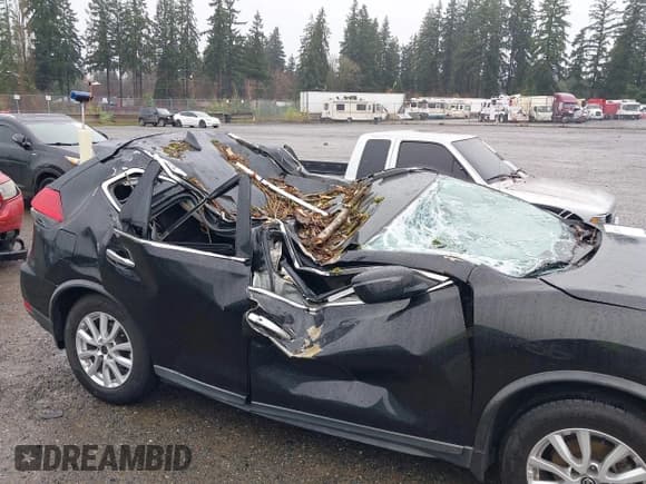 ✅ 2017 Nissan Rogue SV • VIN: KNMAT2MT7HP618107 • Lot: 43923303. Wystawiony na IAAI z przebiegiem 115 741 mil. Bezpłatny archiwum sprzedaży aukcyjnych z USA i szczegółowy raport historii pojazdu na DreamBid. Zdjęcie 6.