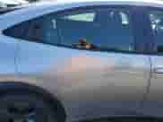 2023 Toyota Prius XSE Premium с VIN JTDACACU3P3007131, выставлен на аукционе Copart как лот 80720165 с пробегом Не указан миль и Списание • Salvage title. История ставок и продаж доступна на DreamBid. Изображение 10.