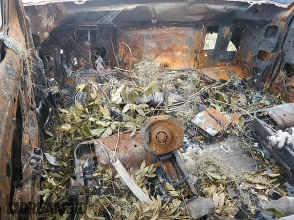 ✅ 1995 Ford F-250 • VIN: 1FTHX26G4SKB17165 • Лот: 75958984. Опубликован ранее на Copart с пробегом Не указан. Бесплатный доступ к архиву аукционных продаж из США и подробный отчёт об истории автомобиля на DreamBid. Изображение 8.