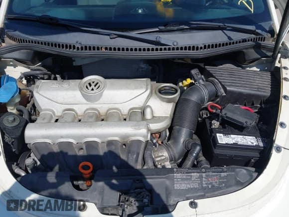 ✅ 2007 Volkswagen Beetle Triple White • VIN: 3VWFF31Y67M413348 • Lot: 42602329. Listed on IAAI with 206,022 mi. Free auction sales archive from the USA and detailed vehicle history report at DreamBid. Image 10.