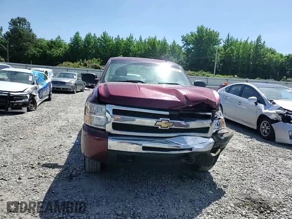✅ 2009 Chevrolet Silverado 1500 Work Truck • VIN: 1GCEC14019Z185326 • Lot: 57432255. Listed on Copart with 293,135 mi. Free auction sales archive from the USA and detailed vehicle history report at DreamBid. Image 13.